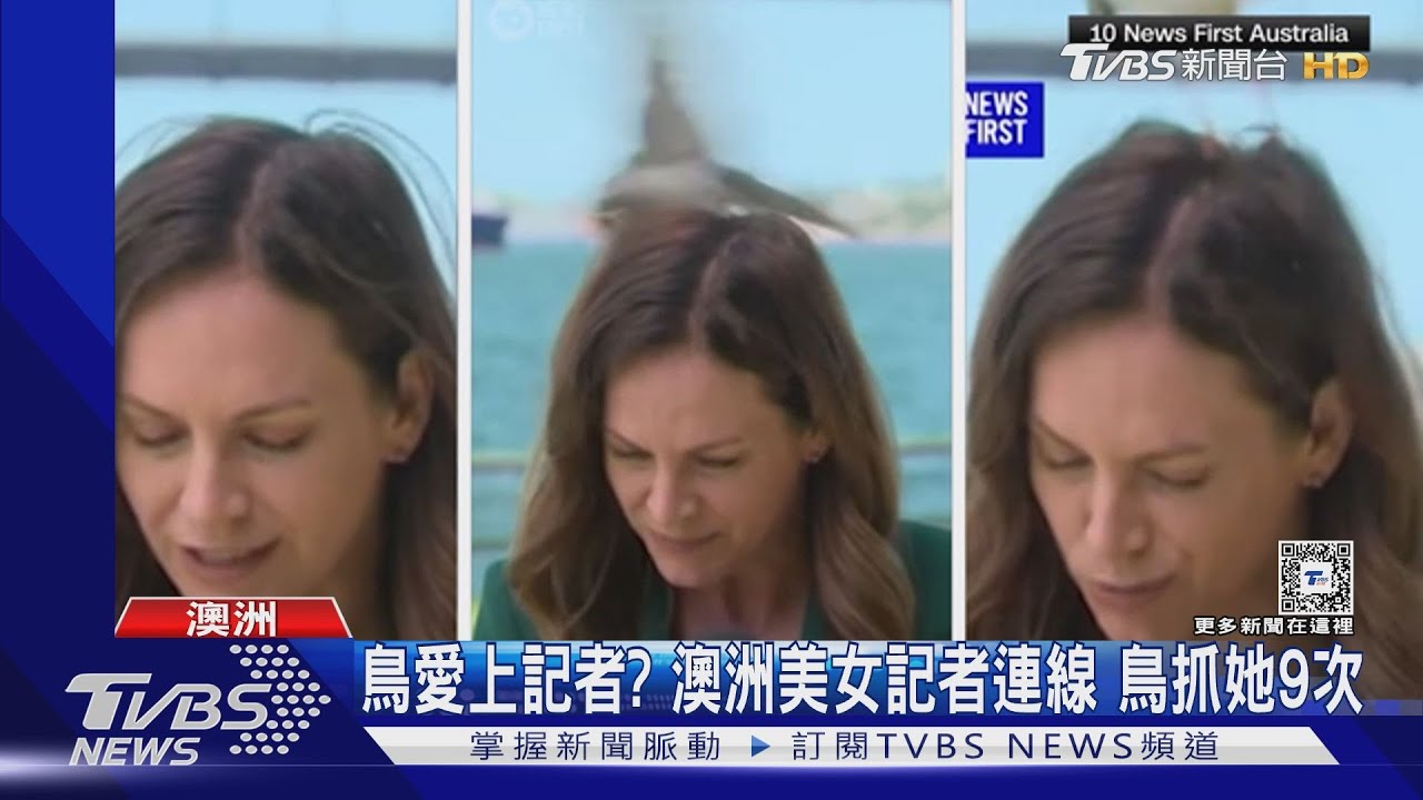 被抓9次頭!澳洲美女記者連線遇鳥爪攻擊 強忍完成任務
