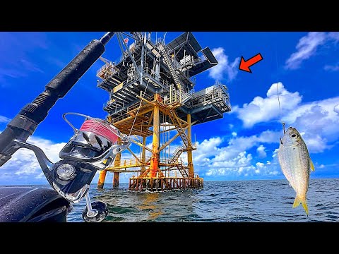 Fishing a LIVE BAIT! under this GAS PLATFORM for my DINNER! [Catch, Clean, Cook]