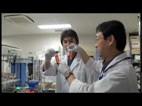 トマト石けんの研究　徳島文理大学香川薬学部