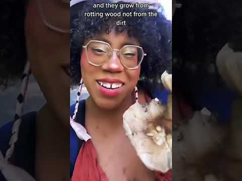 Discover Delicious Deer Mushrooms! | Fun and Edible Fungi Beyond Morels! 🍄