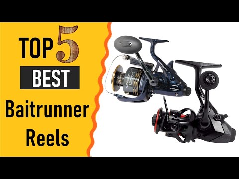 Baitrunner Reels Reviews 2021 | Top 5 Baitrunner Reels