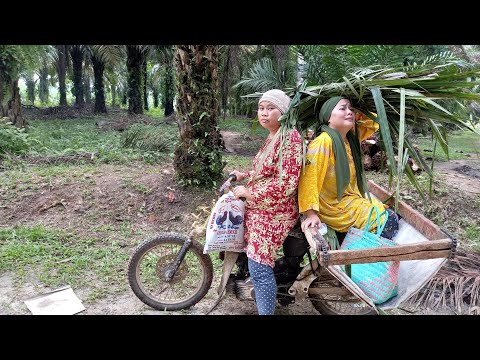 Episode 10 eda eda mencari lidi tapi di tuduh mencuri sawit