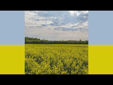 AVAION, PaulWetz, Nu Aspect feat. yuma. - Sleepless