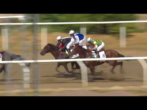 2018.07.15 Svenskt Derby - Nordic Defense