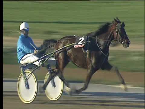 Trotto 12/11/2017 - 2ª corsa