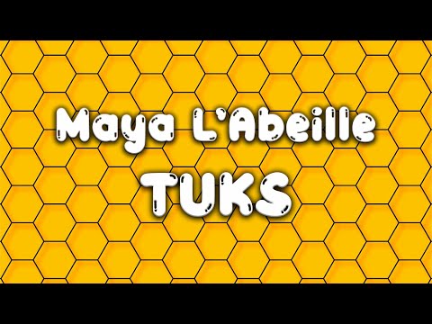 Maya L’Abeille 🍯🐝 PLL ft. Dj Sebb Remix By TUKS | Aftermovie Medellin Sicario Competition