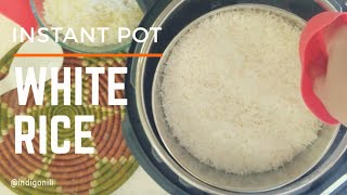 All About White Rice in the Instant Pot (Including Pot in Pot Rice 🍚)