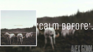 'Calm Before' - Foxing | Sólo audio.