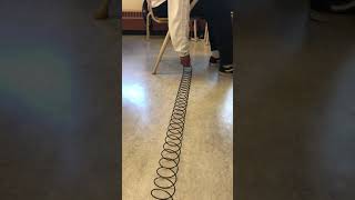 Types of Earthquake waves