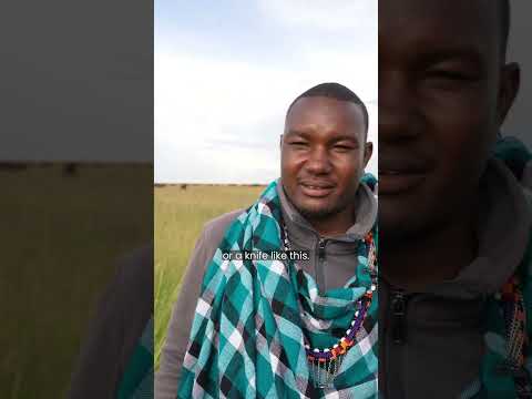The Masai Warrior who killed a lion!
