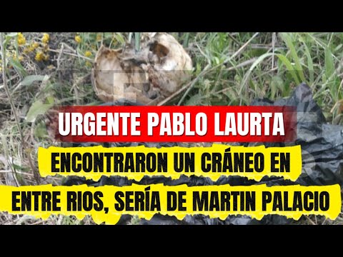 “Impactante: encontraron restos en Entre Ríos ¿Son de Martín Palacio?”