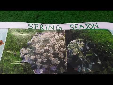 Paragraph on"SPRING SEASON". Let's learn English and Paragraphs. Video
