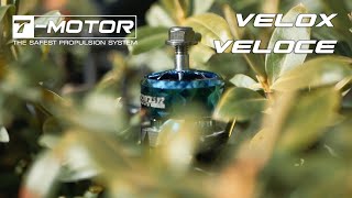 REVIEW + RAW PACK - New T-Motor Velox Veloce! ????????| FPV FREESTYLE UK