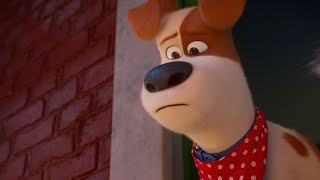 'The Secret Life of Pets 2' Official Trailer (2019) | Patton Oswalt, Kevin Hart, Tiffany Haddish