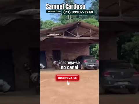 Fazenda na margem do Araguaia com 797 Hectares em Cocalinho MT#shorts #agro #soja