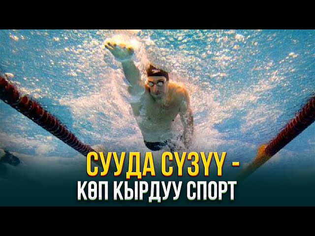 Сууда сүзүү - көп кырдуу спорт