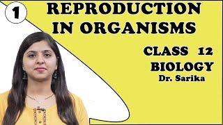 Reproduction In Organisms Class 12 | Biology | Types of Reproduction | AIIMS/ NEET Prep | Dr. Sarika - BIOLOGY