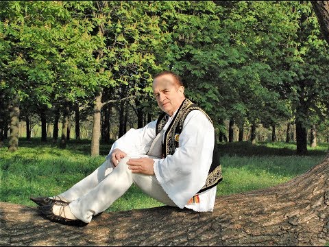 STEFAN  VLAD  -   ”SUB  TEIU'  DIN  BABADAG” (cântec de dragoste, sârbă dobrogeană)