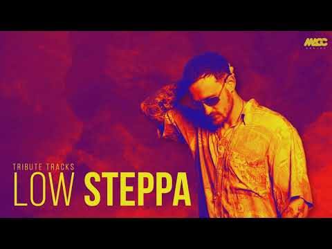 LOW STEPPA [set mix show live] - Tribute tracks | DJ MACC