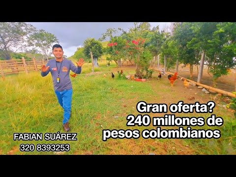 5 HECTAREAS EN SALDAÑA TOLIMA 