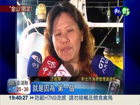 "焚寄網"捕青鱗魚 金山觀光特色