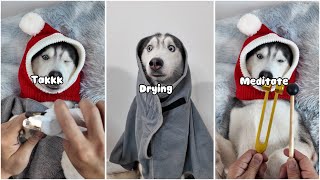 [ ASMR ] Moca’s day of bathing and relaxing