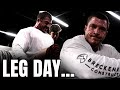 MY FIRST LEG DAY