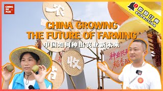 How Is China Growing the Future of Farming? A Harvest Festival in the Rice Fields