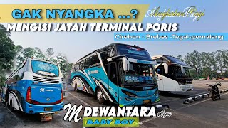Download lagu Gak nyangka,kedatangan bus ini‼️M DEWANTARA ayu 'Baby boy' mengisi jatah Poris | tujuan Brebes-tegal mp3