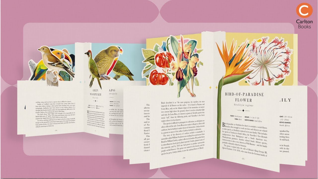 PAPERSCAPES | The books that transform into works of art