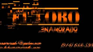 VALENTIN ELIZALDE VIDITA MIA 2013 CANTADA POR EL LOBO .wmv