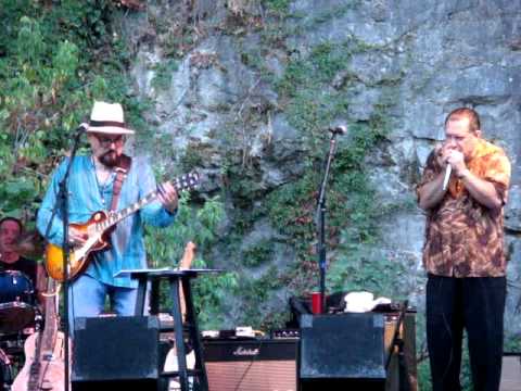 Butterfield Revisited "Walking Blues"