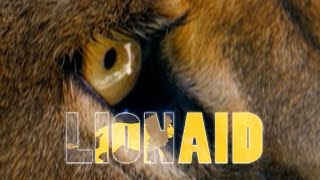 LionAid Concert for Cecil