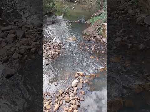 💪🌄🚵‍♂️💚 (Tierra Colorada) Santo Pipó)Misiones Argentina)
