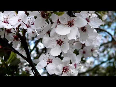 Jealousy 💙 / Dabi x listener /