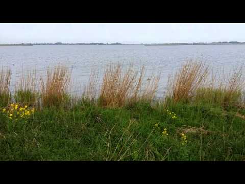 Christina Tati 58.Eu vou cantando -Casa da Luz