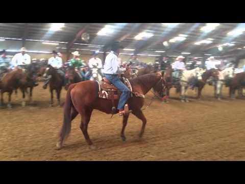 download lagu mp3 mp4 George Strait Roping Cancelled, download lagu George Strait Roping Cancelled gratis, unduh video klip George Strait Roping Cancelled