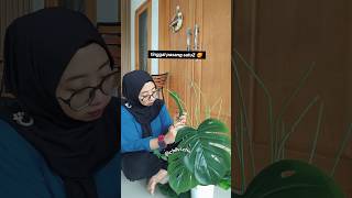 Download lagu My hands can't plant anything. mp3