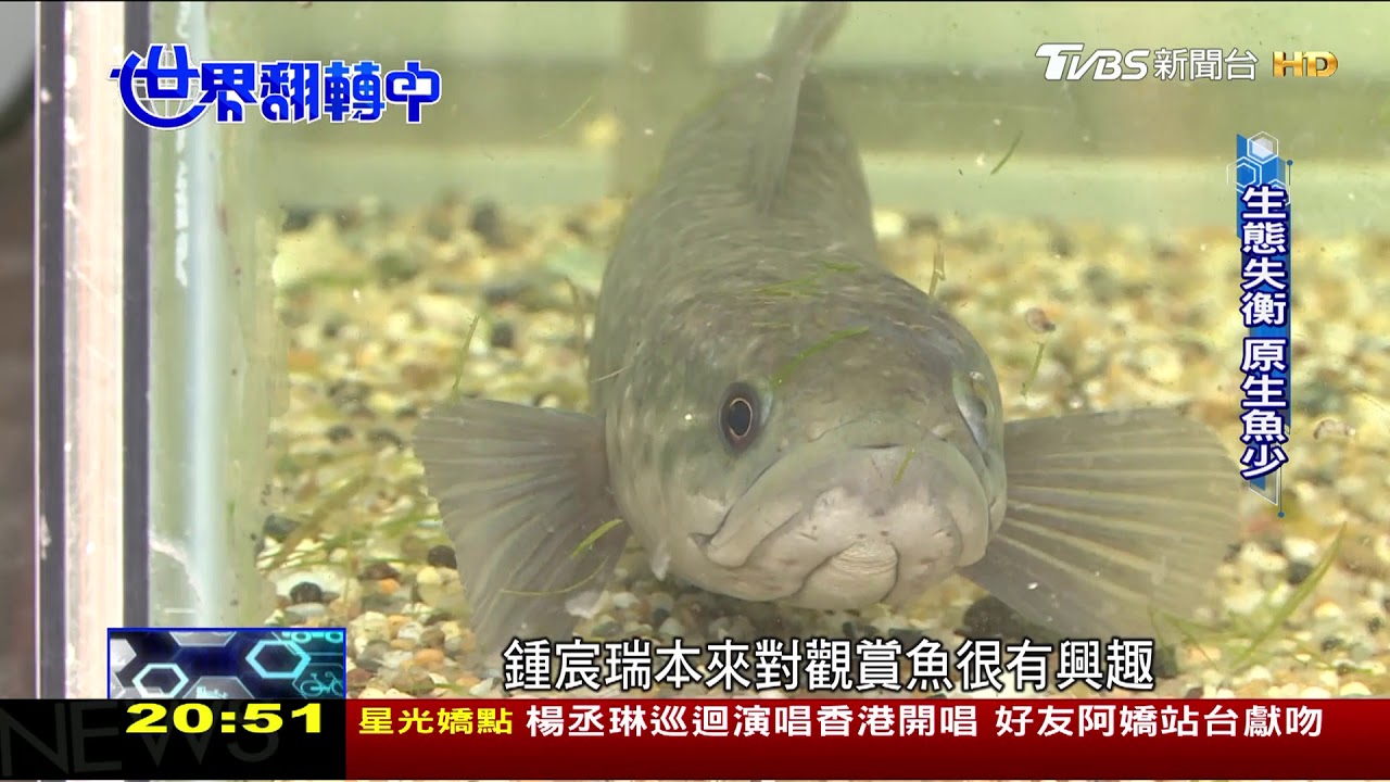 培養生態人才 清華地球生態學程搶破頭