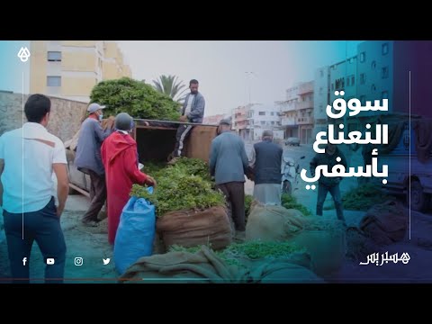 وضعية كارثية يعيشها سوق النعناع بأسفي، والتجار غاضبون ويطالبون بالتفاتة المسؤولين