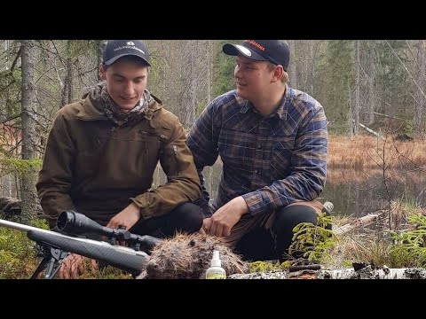 SMÅLANDSJÄGARNA-Bäverjakt i Dalarna