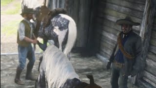 The gang's chaotic entrance into Scarlett Meadow stables | Red Dead Redemption 2
