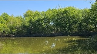 30 Minutes of BASS Fishing
