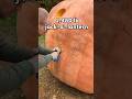 2480 Lb Giant Pumpkin Jack O Lantern 1125 Kg
