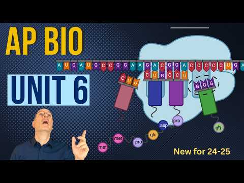 Everything You MUST Know about Gene Expression (AP Bio Unit 6)