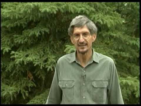 Framing Walls Larry Haun