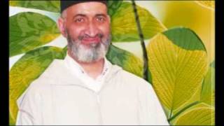 التغيير أم الإصلاح ؟ فريد الأنصاري Farid alAnsari image