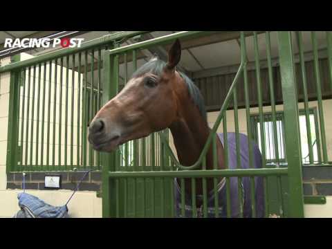 Prix D'Ispahan: My Dream Boat