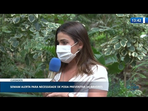 Secretaria de Meio Ambiente alerta para poda preventiva de árvores no período chuvoso 13 01 2021