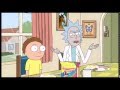 Rick And Morty Why In The Fuck